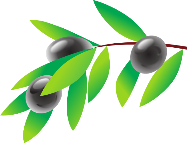 Olives PNG Isolated Image