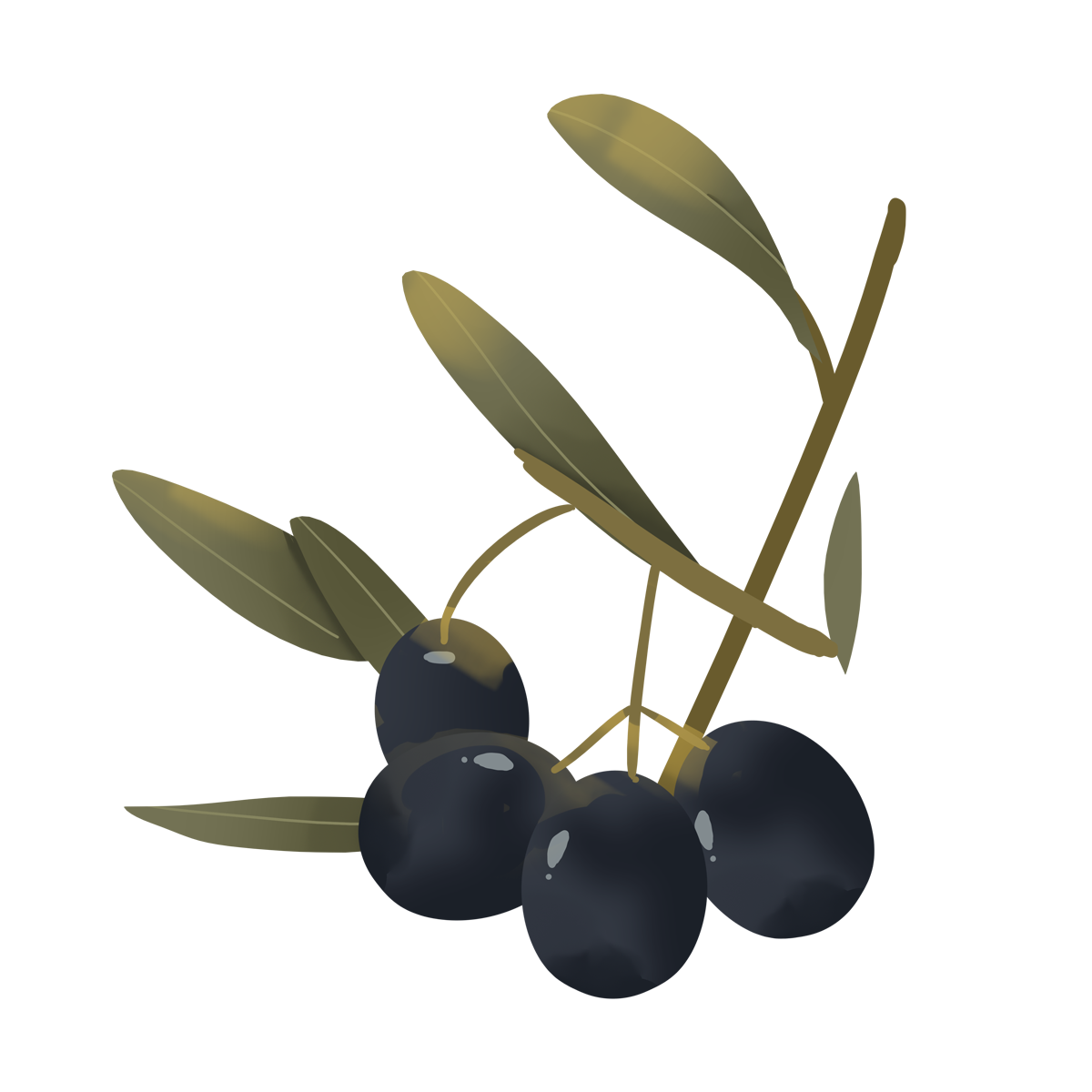Olives PNG Photos