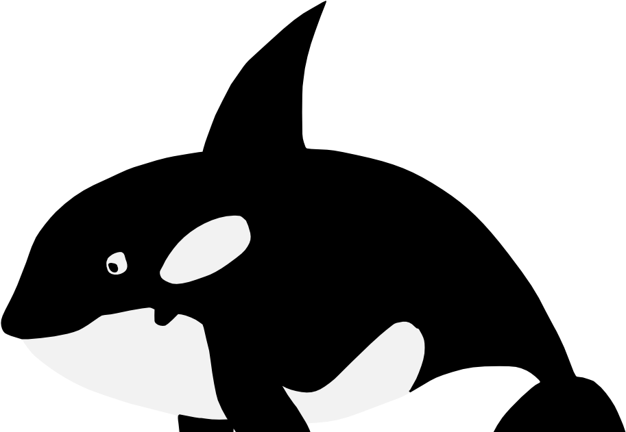 Orca Download PNG Image