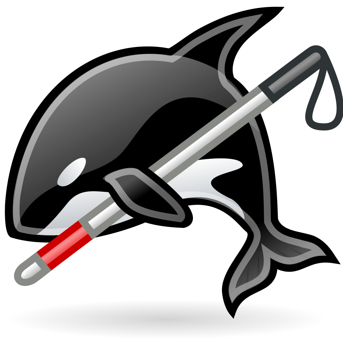 Orca PNG Photo