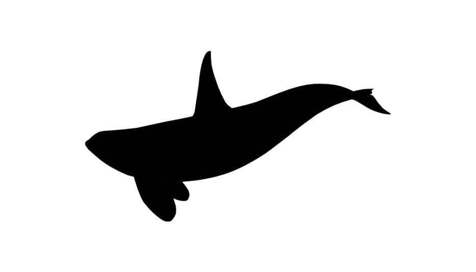 Orca PNG Transparent