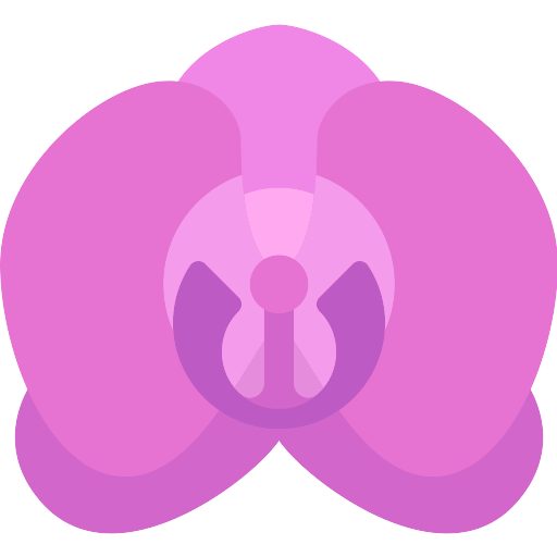 Orchid PNG Free Download