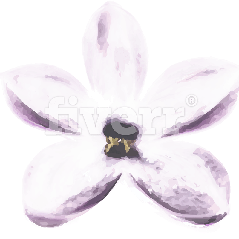 Orchid PNG Isolated Pic