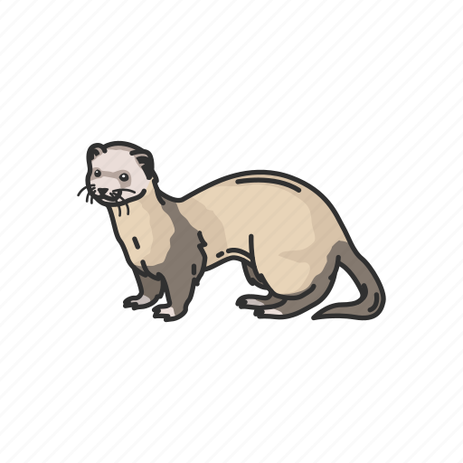 Otters PNG HD Isolated