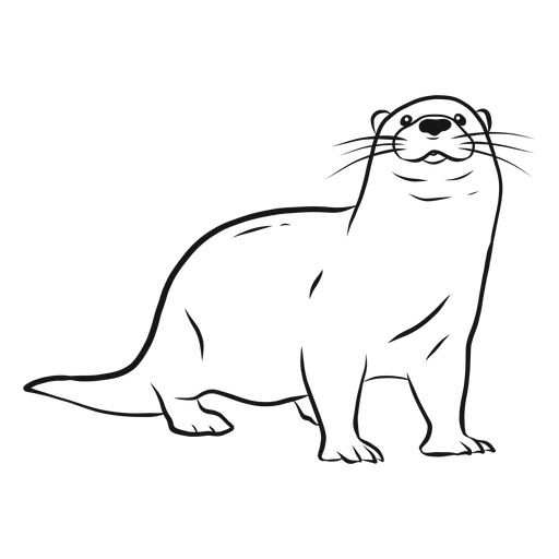 Otters PNG HD