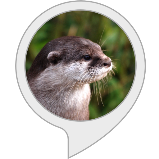 Otters PNG Image