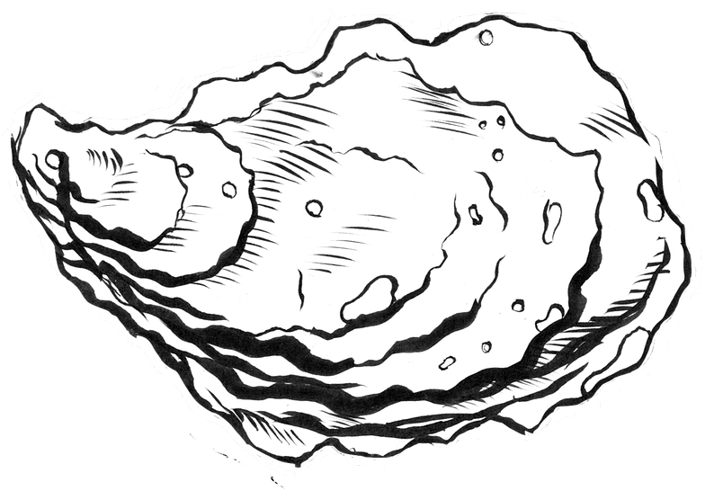 Pacific Oyster PNG Photo