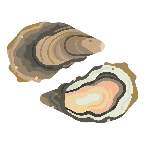 Pacific Oyster PNG Pic