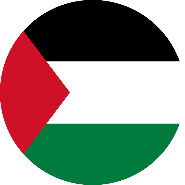 Palestine Flag PNG HD