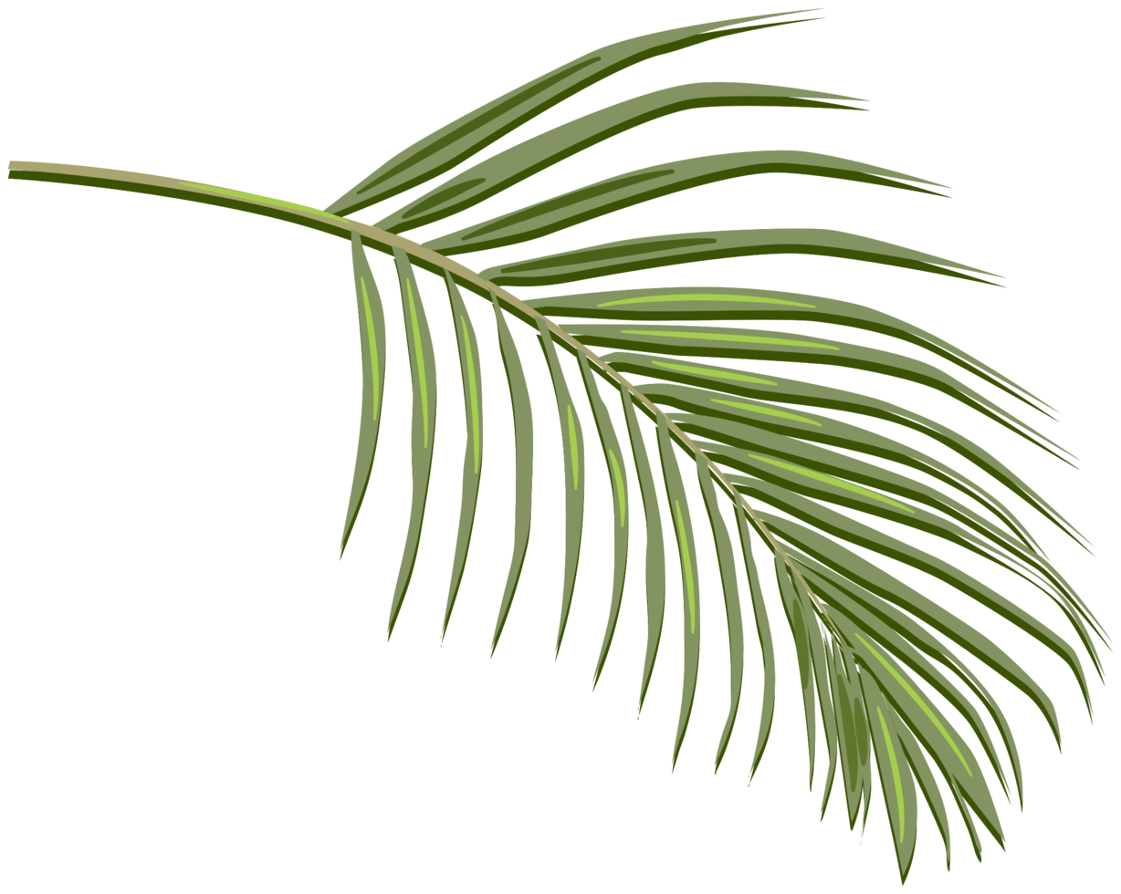 Palm PNG File