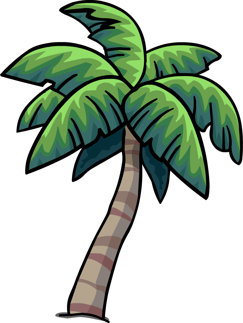 Palm PNG Pic