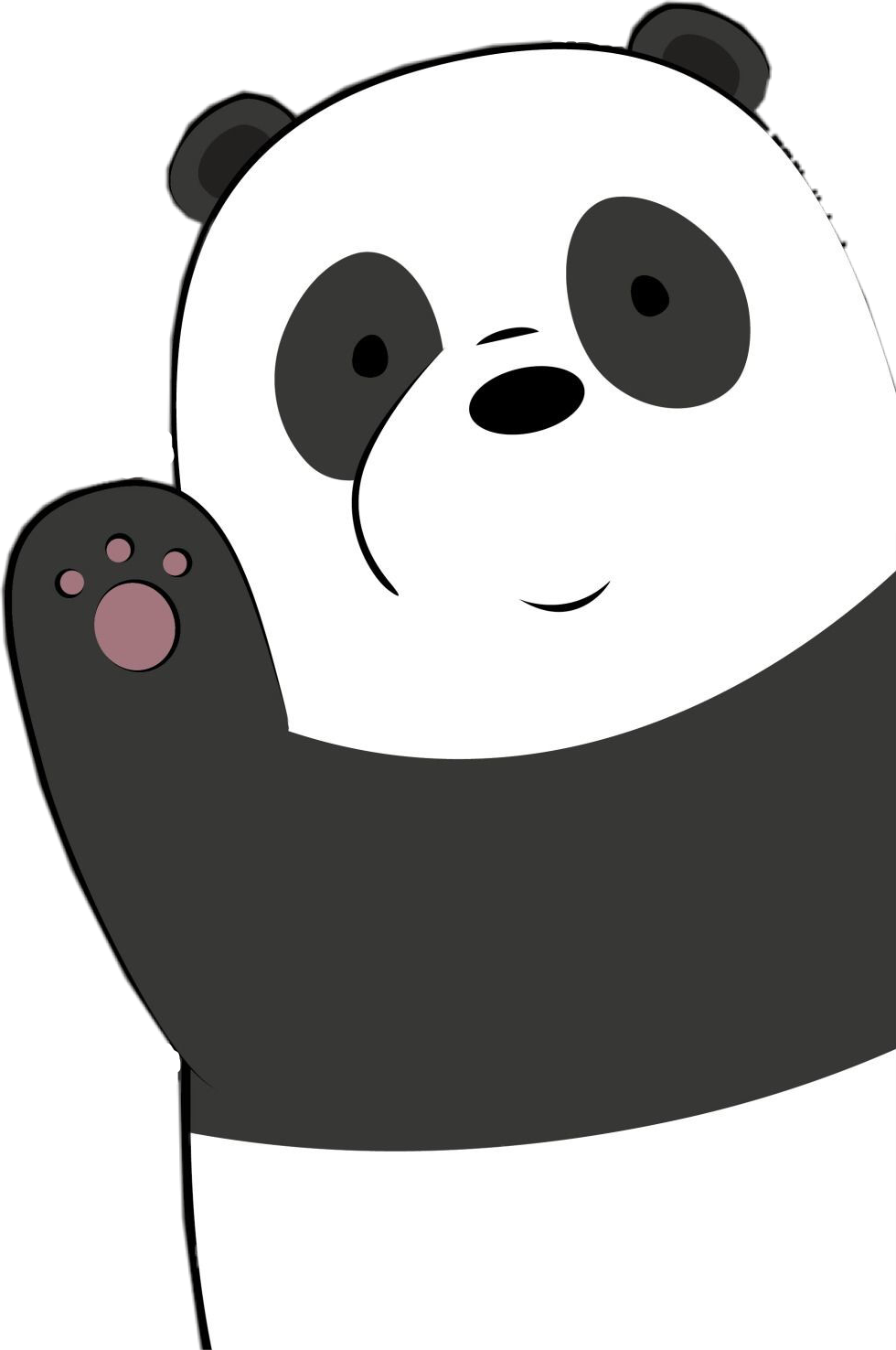 Panda Background Isolated PNG