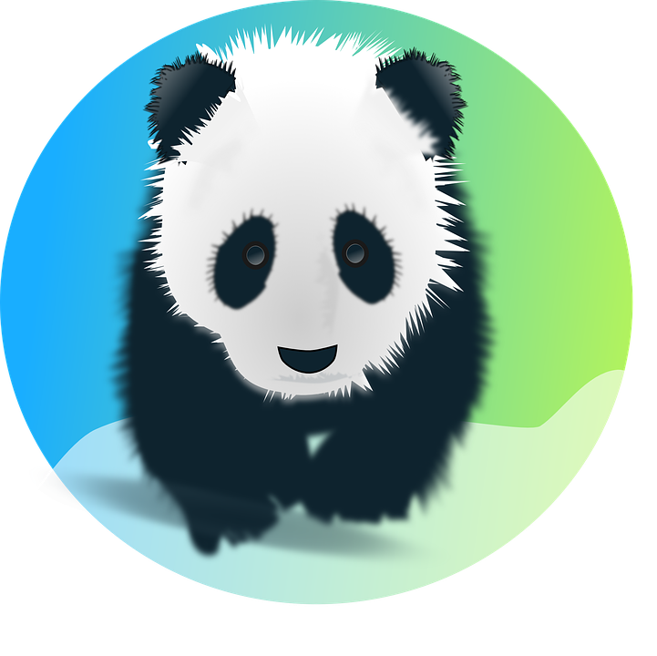 Panda PNG Background Isolated Image