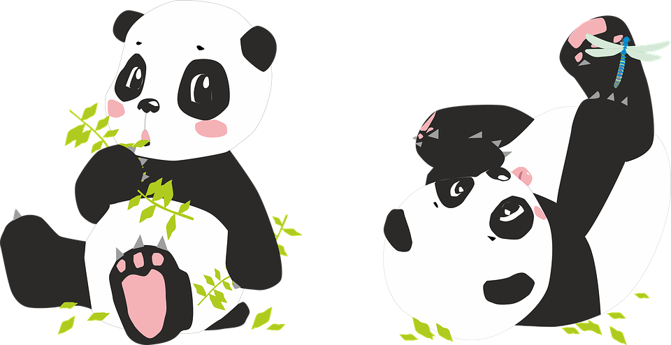 Panda PNG File