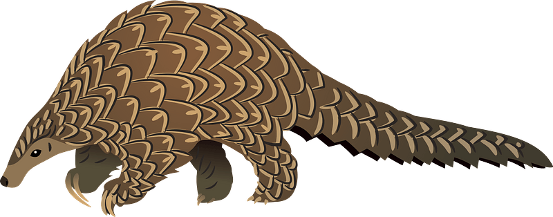 Pangolin PNG Isolated File