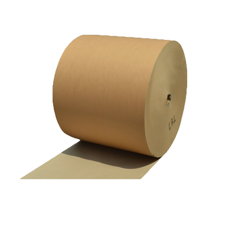 Paper Roll PNG Isolated File