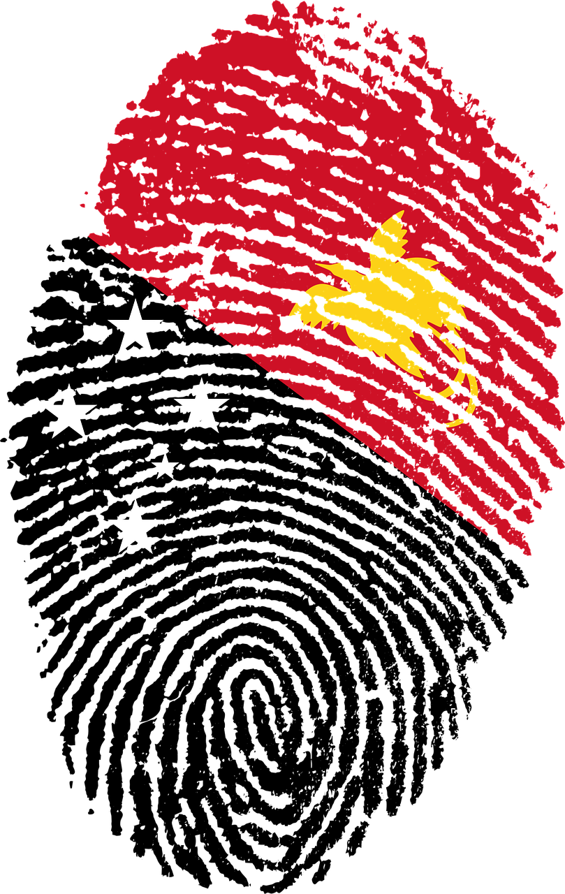 Papua New Guinea Flag PNG Image