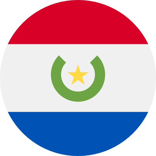 Paraguay Flag Download PNG Image