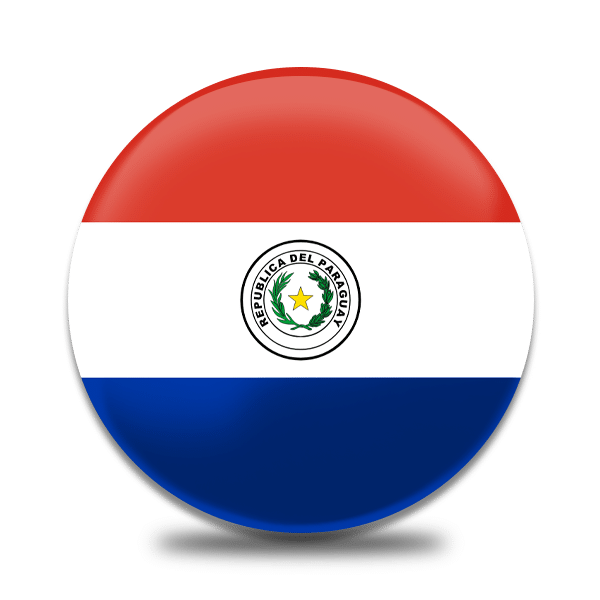Paraguay Flag PNG Isolated Photo