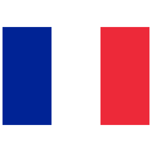 Paris Flag PNG File