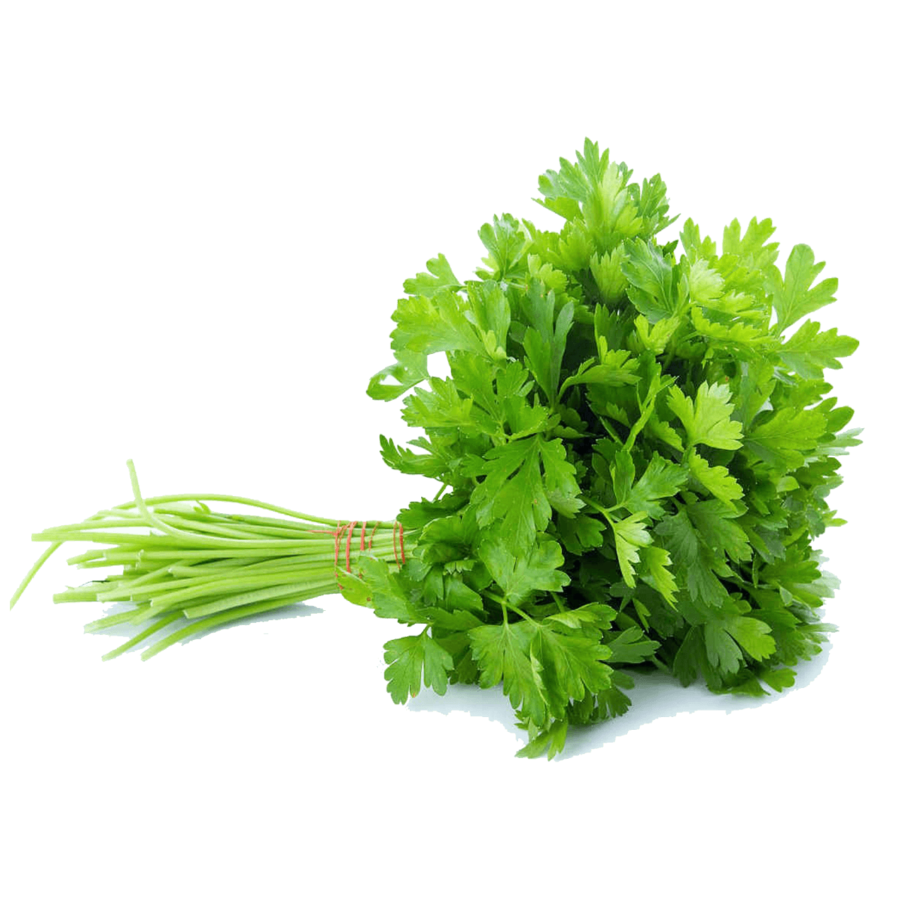 Parsley PNG Clipart