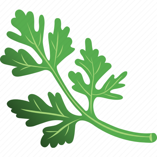 Parsley PNG Picture