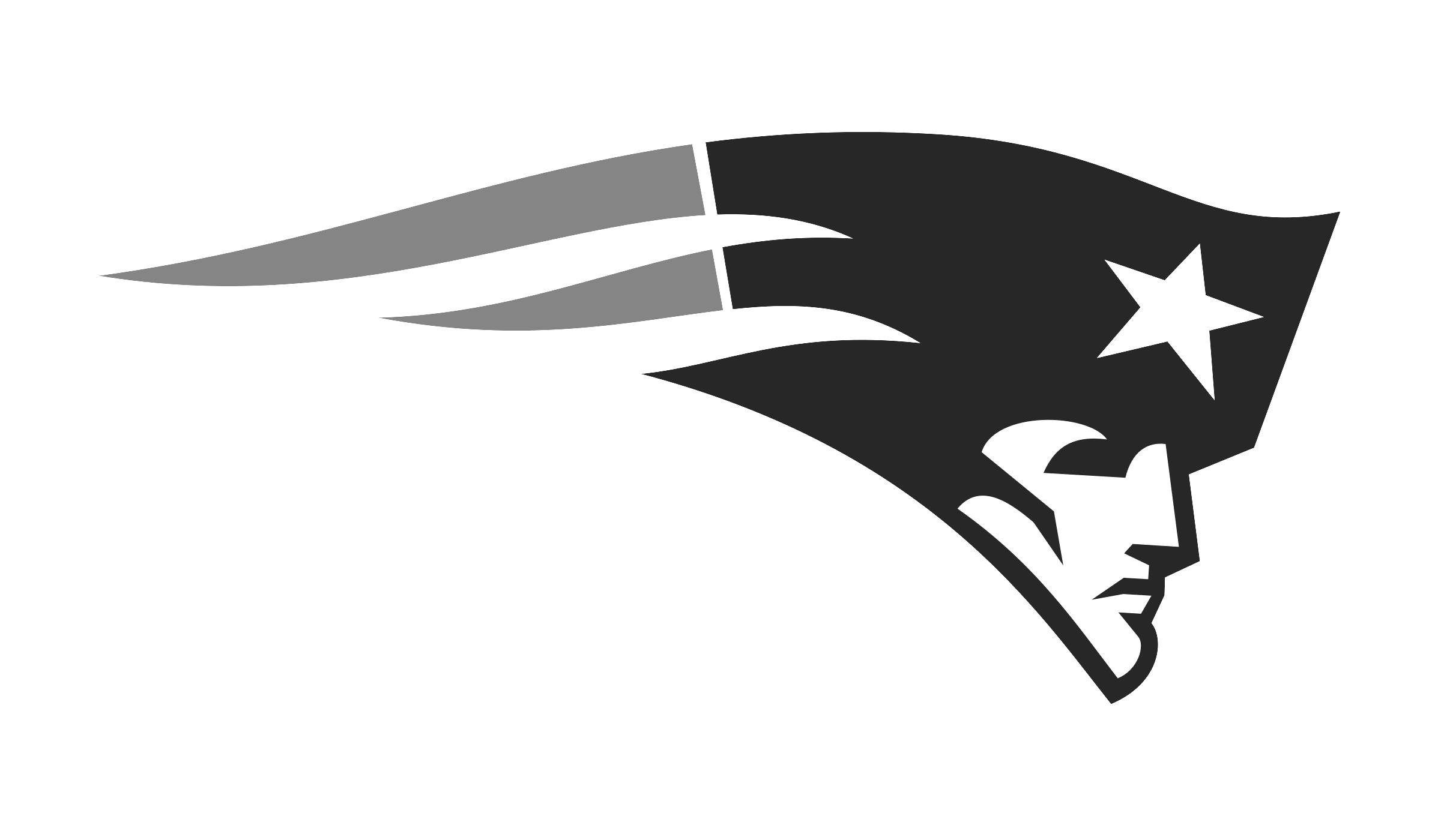 Patriots Logo PNG Isolated HD