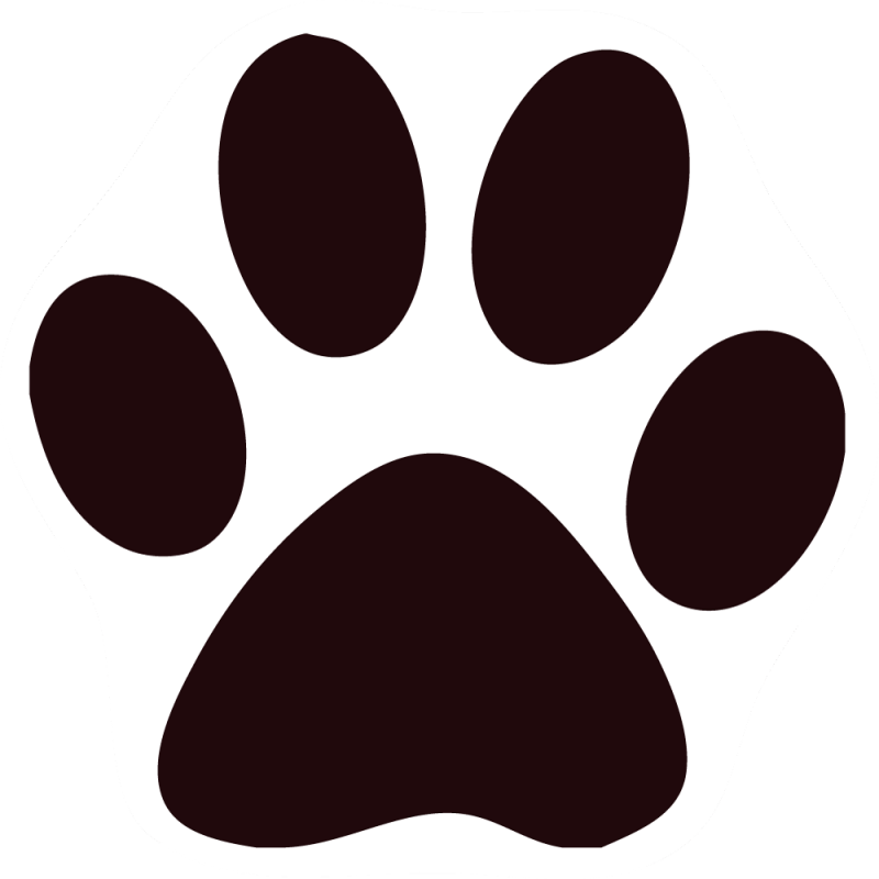 Paw PNG HD Isolated