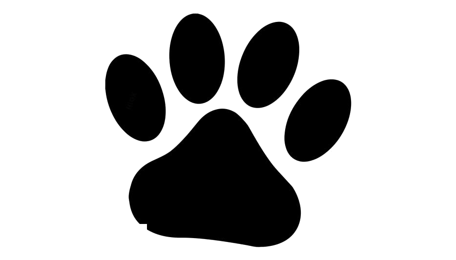 Paw PNG Isolated HD Pictures