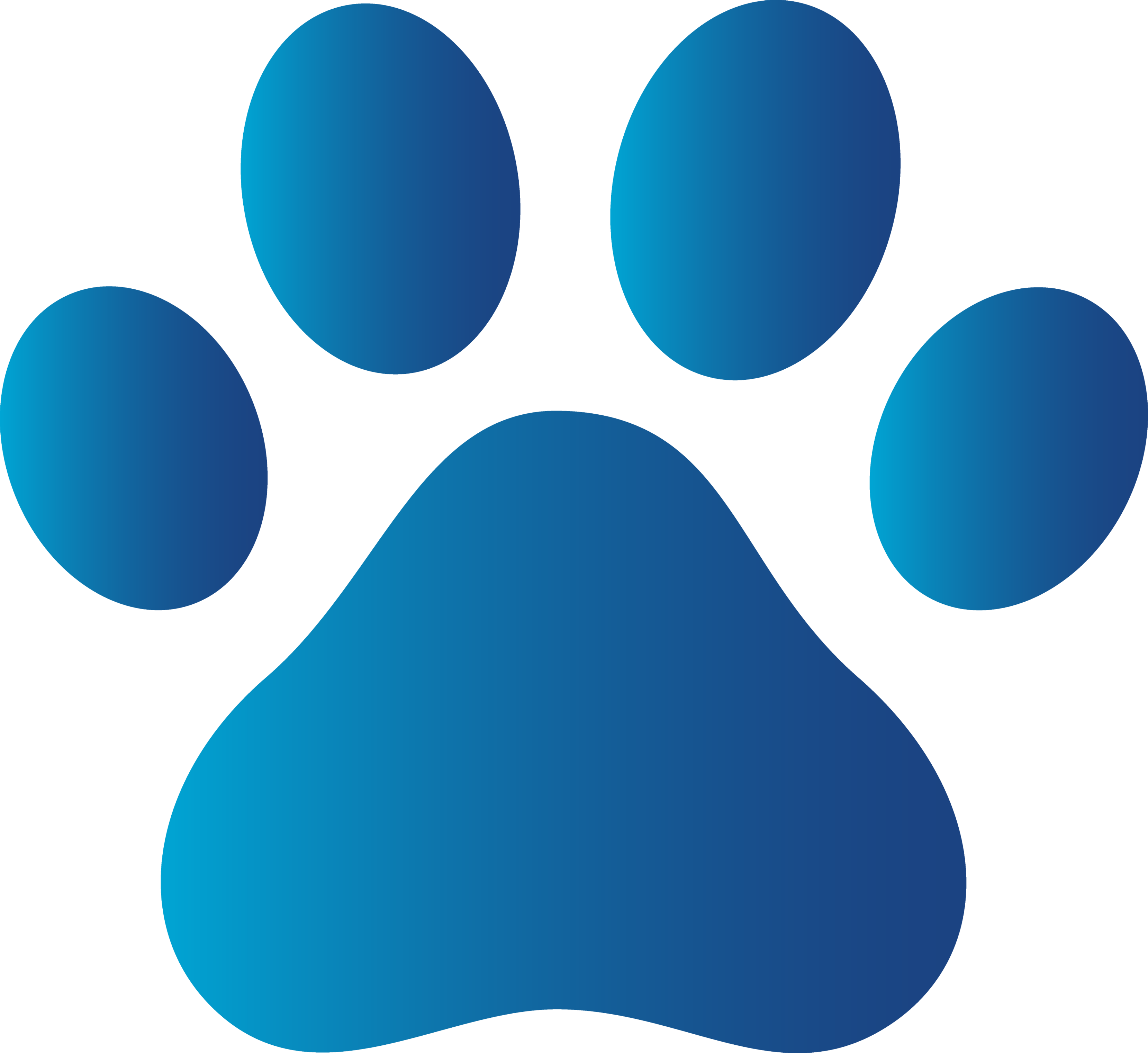Paw PNG Isolated HD