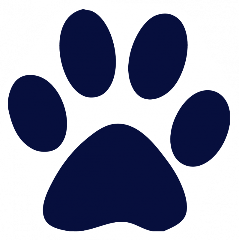 Paw PNG Isolated Picture