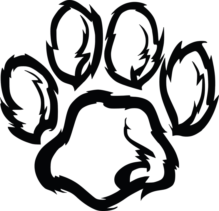 Paw PNG Photo