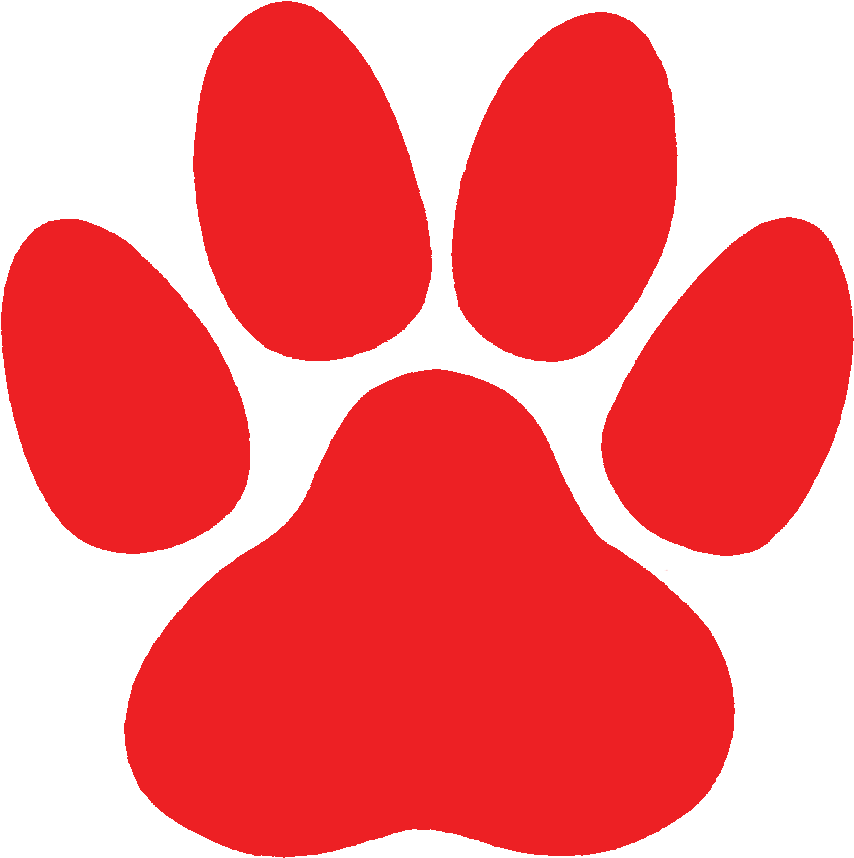 Paw PNG Pic