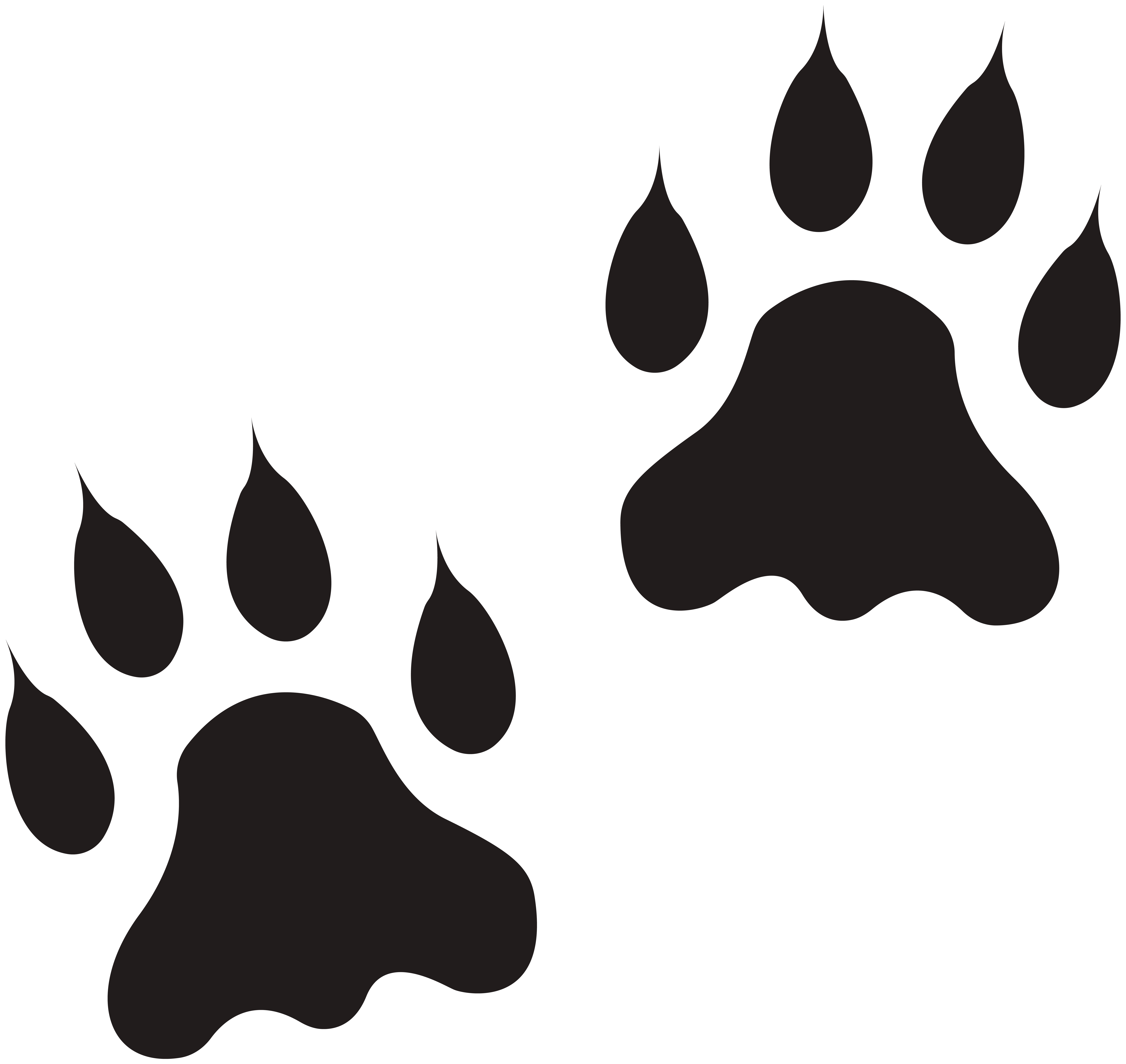 Paw PNG Transparent Picture