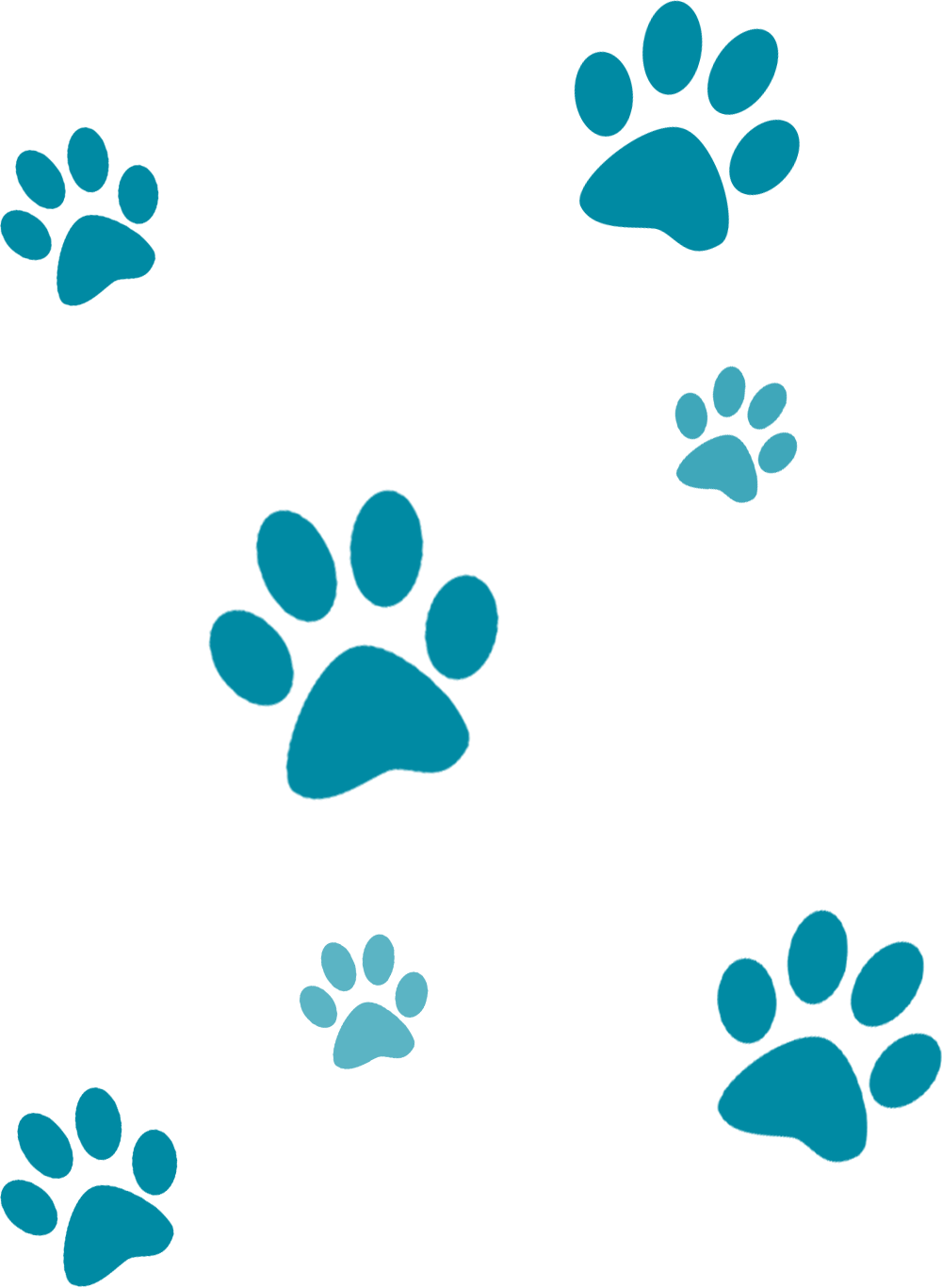 Paw Print PNG Clipart