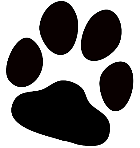 Paw Print PNG Isolated HD