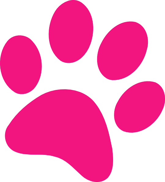 Paw Print PNG Isolated Pic