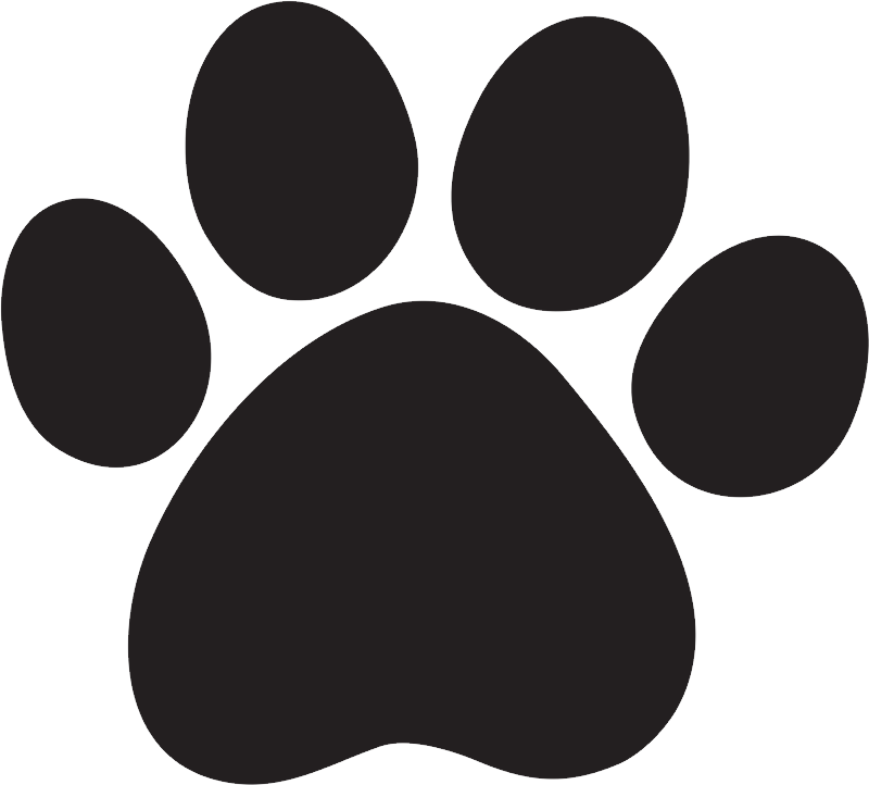 Paw Transparent Isolated Background