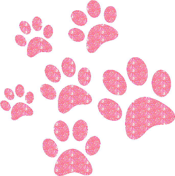 Paw Transparent Isolated Images PNG