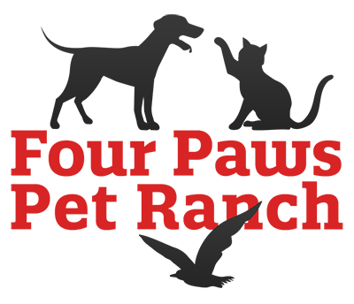 Paws PNG
