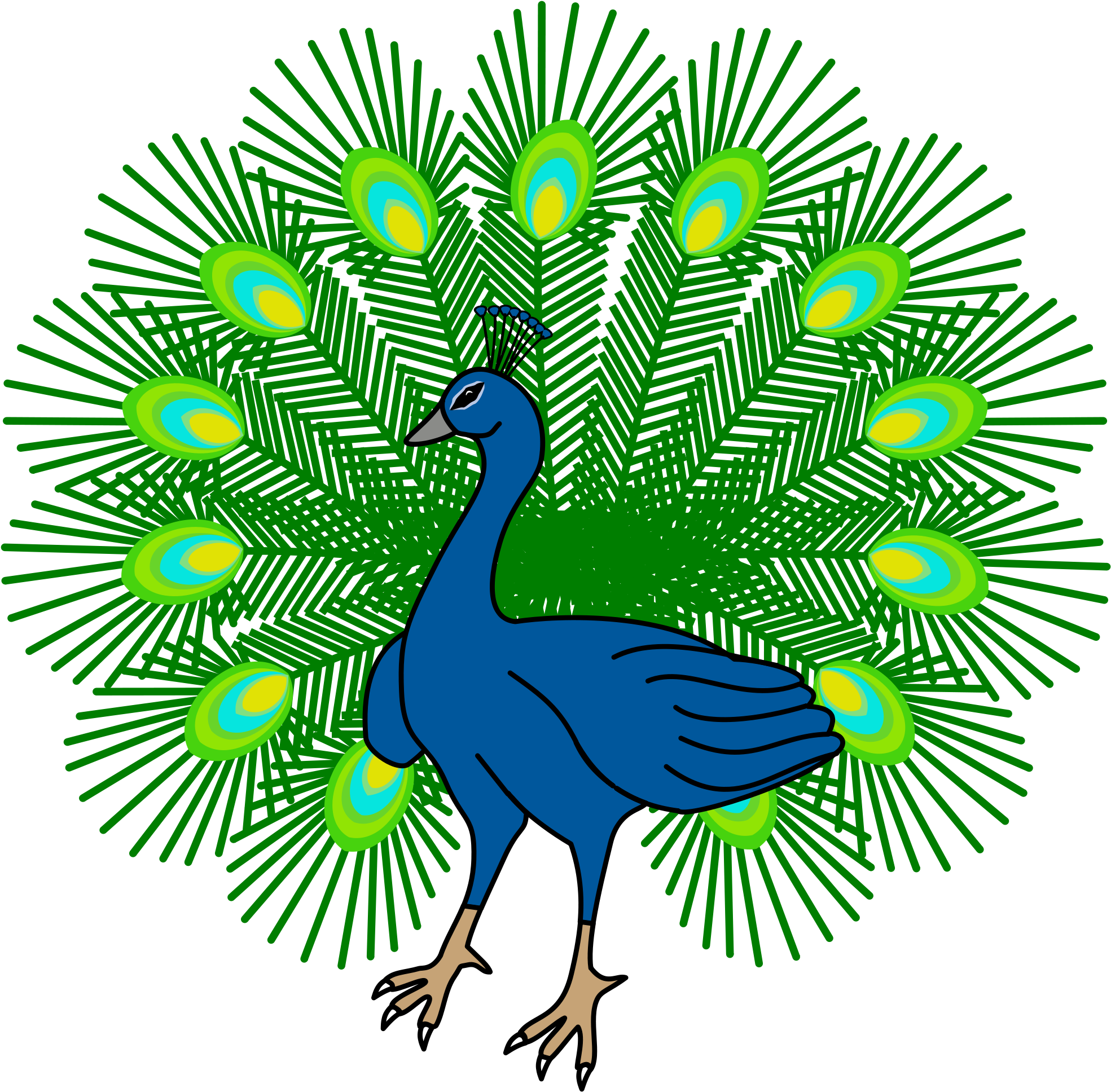 Peacock Download PNG Isolated Image