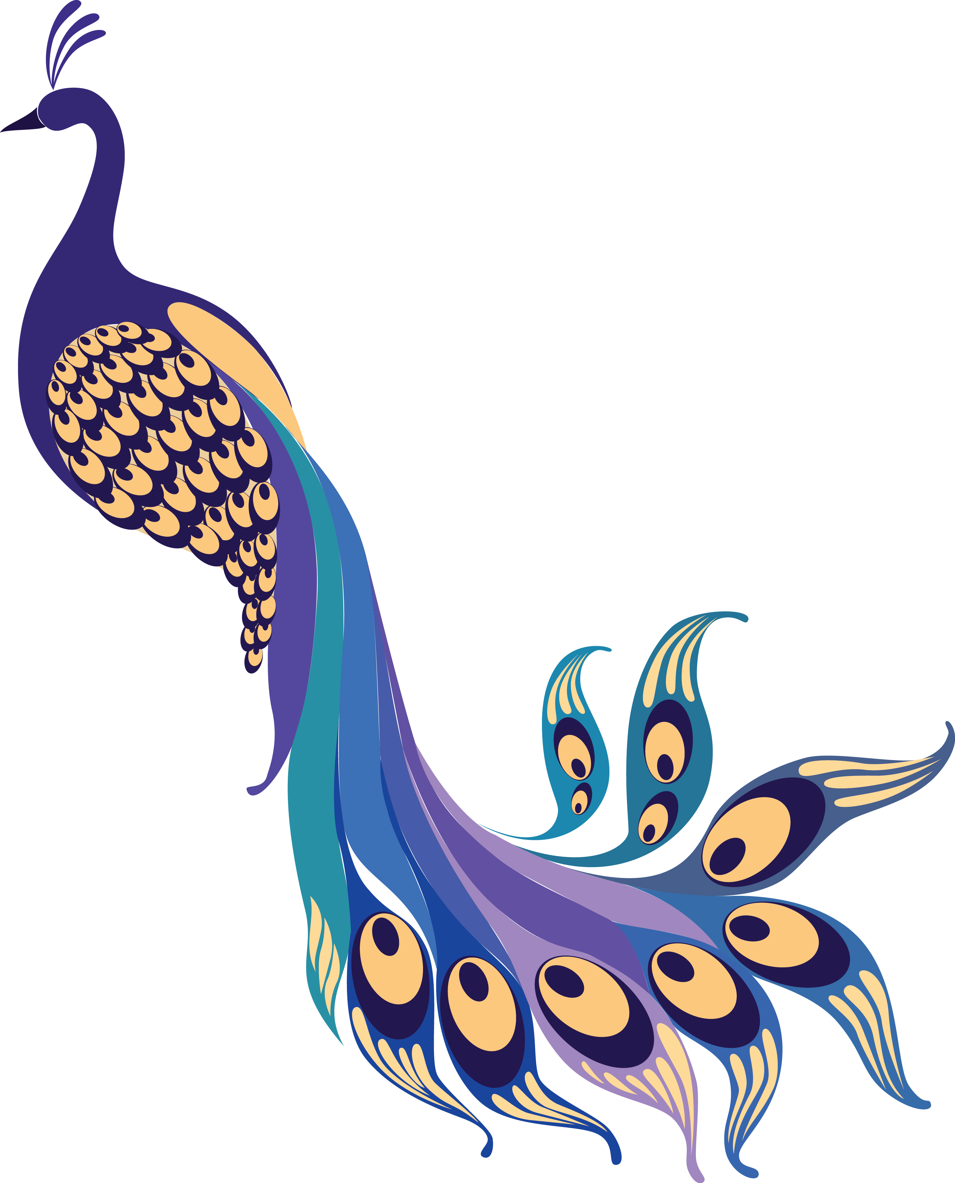 Peacock PNG Isolated Clipart | PNG Mart