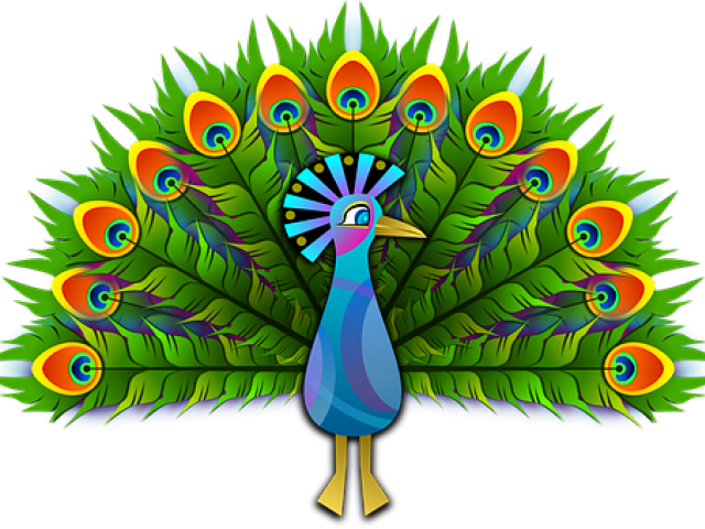 Peacock PNG Isolated HD Pictures