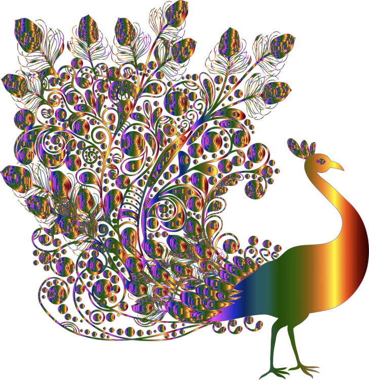 Peacock PNG Isolated Pic