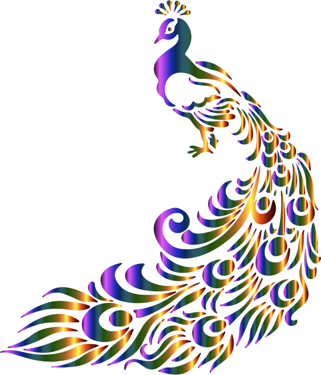 Peacock PNG Transparent Picture
