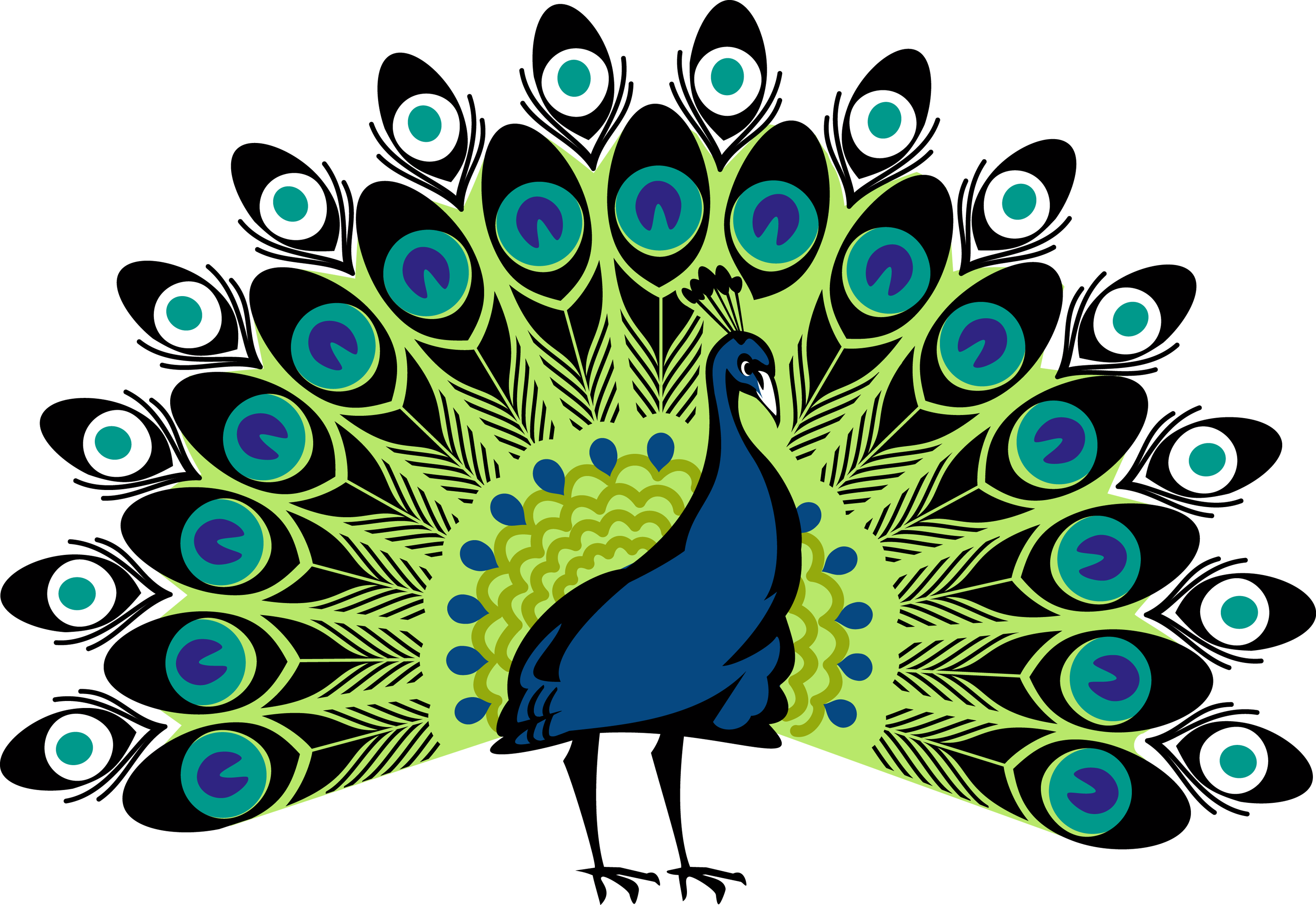 Peacock Transparent PNG