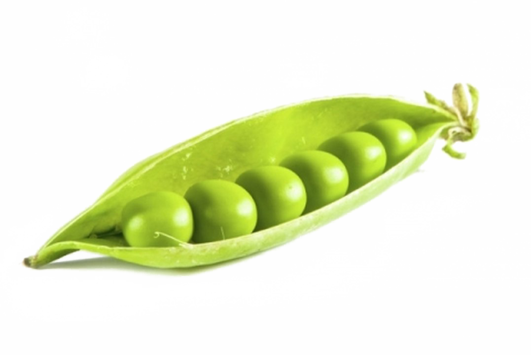 Peas Download PNG Image