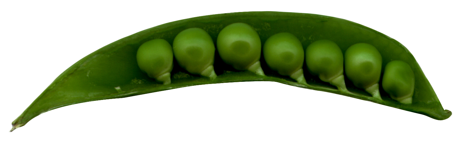 Peas PNG Clipart