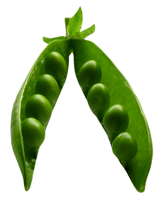 Peas PNG Isolated File