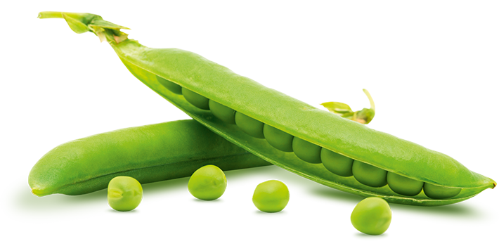 Peas PNG Isolated HD